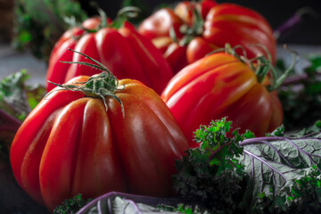 Macro shot of group of Big rose wrinkle tomatoes on curly kale salad leaves on rustic background. Low key and selective focus.
