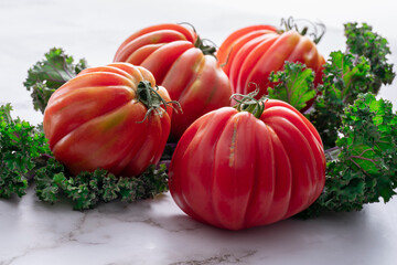 Fresh furrowed organic tomatoes from farmers market on the marble stove with green curly kale leaves. Close up and soft focus.