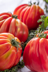 Fresh furrowed organic tomatoes from farmers market on the marble stove with green curly kale leaves. Close up and soft focus.