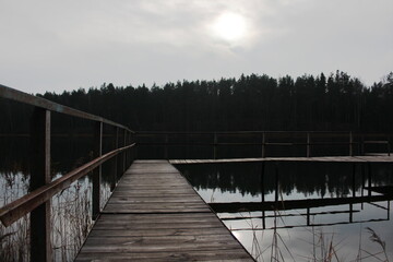 Naklejka premium Russian forest....