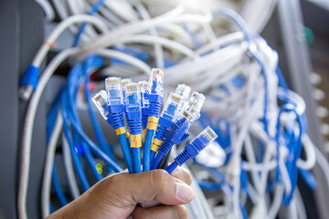 Close-up hand choose RJ45 jack connector UTP LAN network cable and Lots of Ethernet cables...