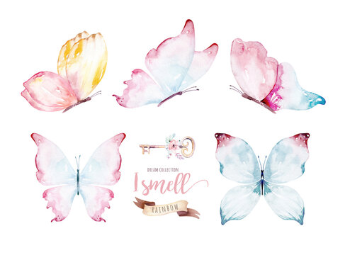 Watercolor colorful butterflies, isolated on white background. blue, yellow, pink and red butterfly spring illustration