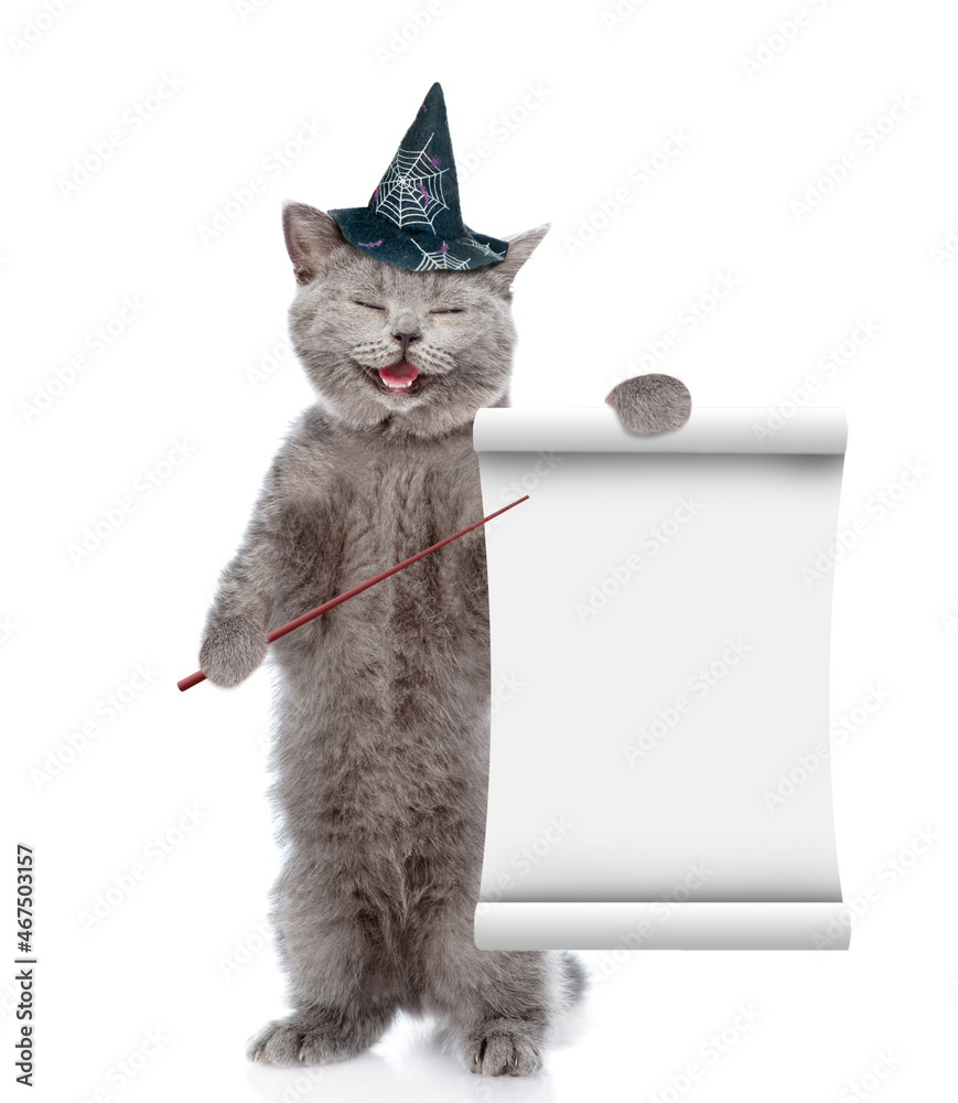 Poster Happy cat wearing hat for halloween points on empty list. isolated on white background