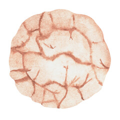 Cookie. Watercolor vintage illustration. Isolated on a white background. For your design.