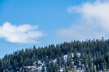 forêt verte sur la montagne avec ciel bleu et paysage de nuages blancs