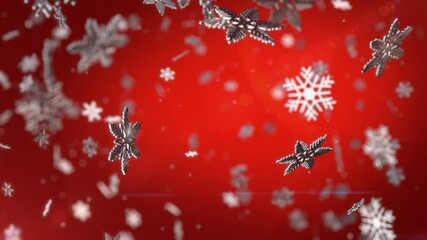 Lots of falling white snowflakes rotating and flying in the red background