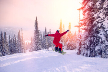 Snowboarder jumping through spruce forest fresh snow among at sunset. Concept Winter active sport