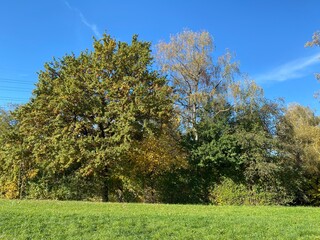 Naklejka premium Early autumn landscape in parks and along recreational trails in the city of Zürich (Zuerich or Zurich), Oerlikon - Switzerland (Schweiz)