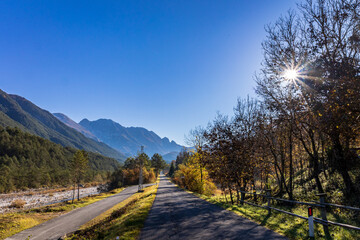 Foliage in the woods of Val di Resia, Friuli-Venezia Giulia