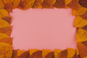 Naklejka na ściany i meble A greetnig card with a frame of autumn leaves