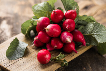 Bunch of radishes. Freshly harvested, purple colorful radish