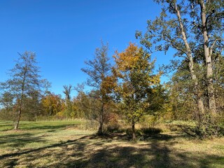 Early autumn landscape in parks and along recreational trails in the city of Zürich (Zuerich or Zurich), Wallisellen - Switzerland (Schweiz)