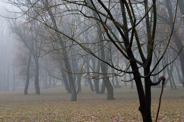 Heavy Moscow fog slightly weakened during the day