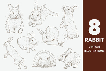 8 Bundle of Rabbit bunny sketch vintage retro style illustrations