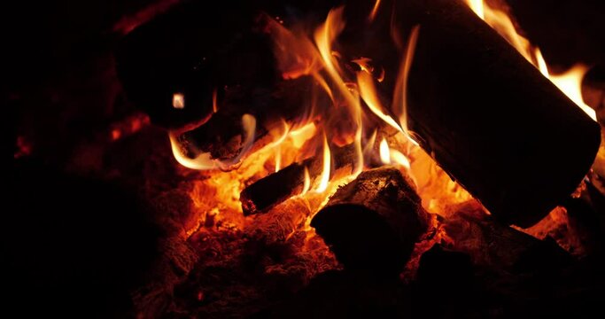 A burning fire burns at night in the forest