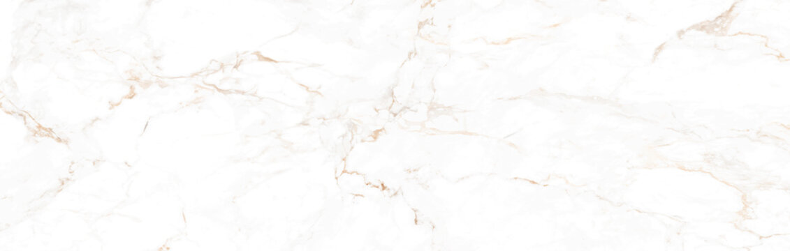  carrara statuarietto white marble. white carrara statuario texture of marble. calacatta glossy marbel with golden streaks. Thassos satvario tiles. italian bianco, blanco catedra texture of stone