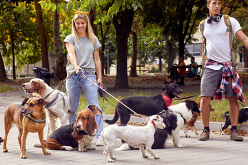 Young dog walkers walking dogs in the park