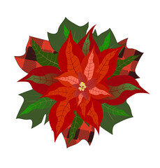 Christmas flower Poinsettia vector illustration. Christmas decor for your designs and prints.