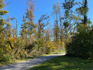 Fototapeta premium Recreational and hiking trails in early autumn along the Glatt River and in the Zürich (Zuerich or Zurich) Gebiet area (Grindel Gebiet), Wallisellen - Switzerland