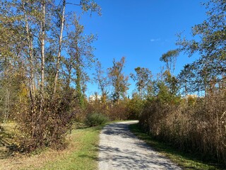 Recreational and hiking trails in early autumn along the Glatt River and in the Zürich (Zuerich or Zurich) Gebiet area (Grindel Gebiet), Wallisellen - Switzerland