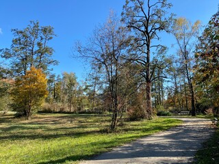 Recreational and hiking trails in early autumn along the Glatt River and in the Zürich (Zuerich or Zurich) Gebiet area (Grindel Gebiet), Wallisellen - Switzerland