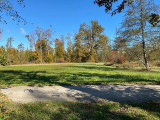 Recreational and hiking trails in early autumn along the Glatt River and in the Zürich (Zuerich or Zurich) Gebiet area (Grindel Gebiet), Wallisellen - Switzerland