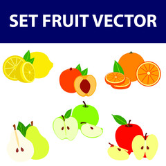 set of slice fruit summer citrus design vector