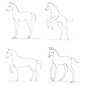 horses drawing by continuous line isolated, vector