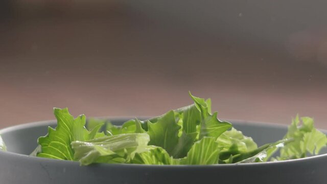 Slow motion green frisee lettuce falling into blue bowl closeup