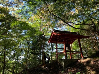 gazebo in the park