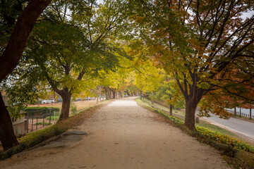 관방제림
