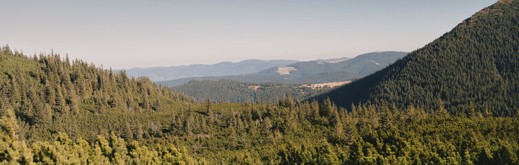 Chornogora ridge. Sunny autumn day in the mountains. Ukrainian Carpathian mountains.