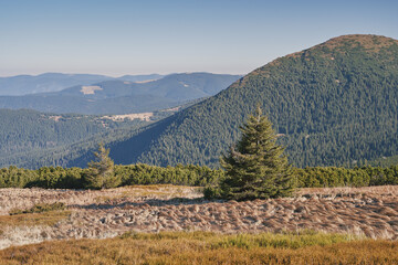 Chornogora ridge. Sunny autumn day in the mountains. Ukrainian Carpathian mountains.