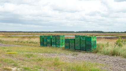 Bienenstock im Moor