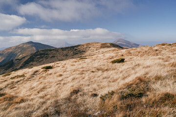 Chornogora ridge. Sunny autumn day in the mountains. Ukrainian Carpathian mountains.