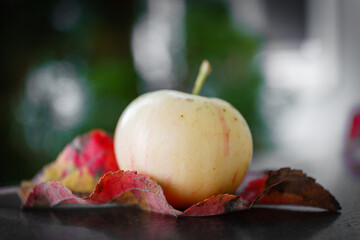 A yellow autumnal apple sitting on its red leaf with blur background