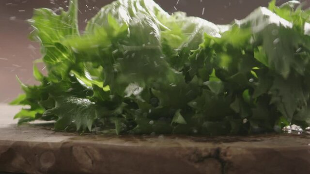Slow motion washed lettuce fall on olive wood baord closeup