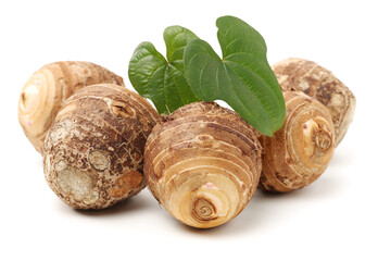 Taro on a white background