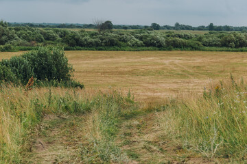 Rural landscape with country road in field. Concept of mowing grass