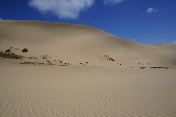 Yallow sand dunes in sunny day and blue sky
