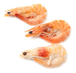 Red shrimps isolated on a white background.