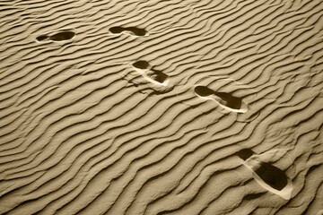 footprints in the sand,fussabdr&uuml;cke im sand