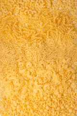 Background of various kinds of pasta, closeup. Raw food background or texture close up