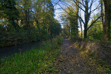 Fototapeta na wymiar Autumn morning beside the disused Cromford canal on the Derwent Valley Heritage Trail near Cromford in Derbyshire.