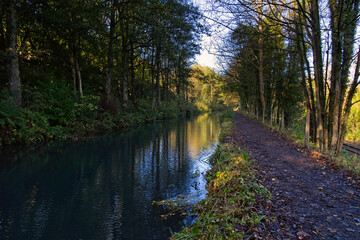 Tall trees shade the Cromford canal from autumn sunlight on the Derwent Valley Heritage Trail