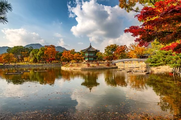 Zelfklevend Fotobehang autumn in the park at Gyeongbokgung palace Seoul South Korea. © sayan