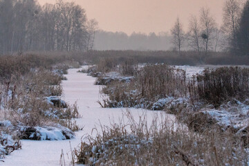 Dzika natura w Polsce, dzikie zwierzęta w naturalnym pejzażu © Michał Kurzątkowski
