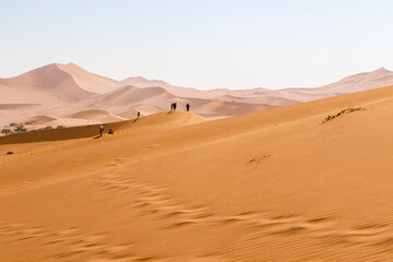 Fototapeta na wymiar windswept footprints across sand dunes in Namibia
