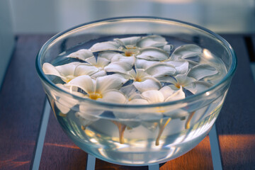 Close up glass bowl with water and frangipani flowers on wooden table on the morning