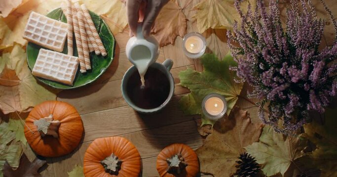 Tabletop video of adding milk to the black tea in slow motion, decorated autumn composition in warm atmosphere with waffles, leaves and tea, 4k 60p Prores HQ